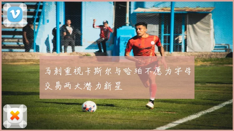 马刺重视卡斯尔与哈珀不愿为字母交易两大潜力新星