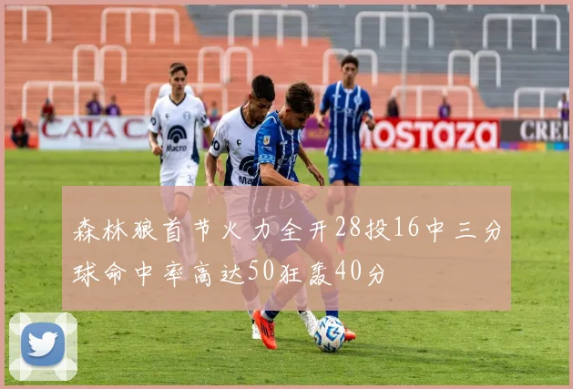 森林狼首节火力全开28投16中三分球命中率高达50狂轰40分