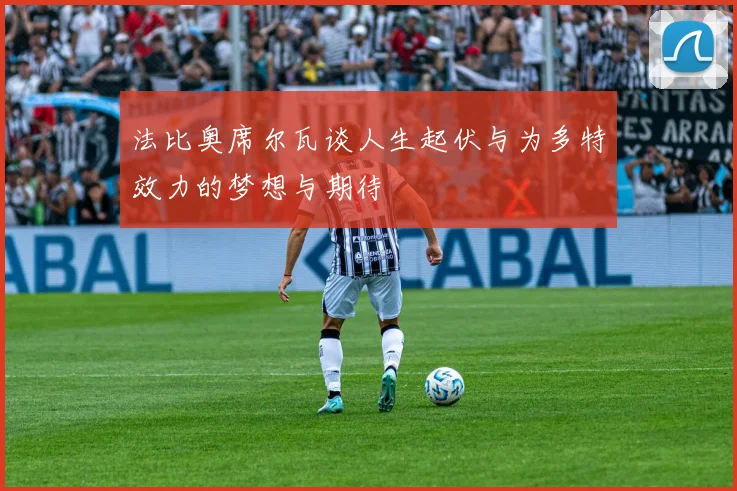 法比奥席尔瓦谈人生起伏与为多特效力的梦想与期待