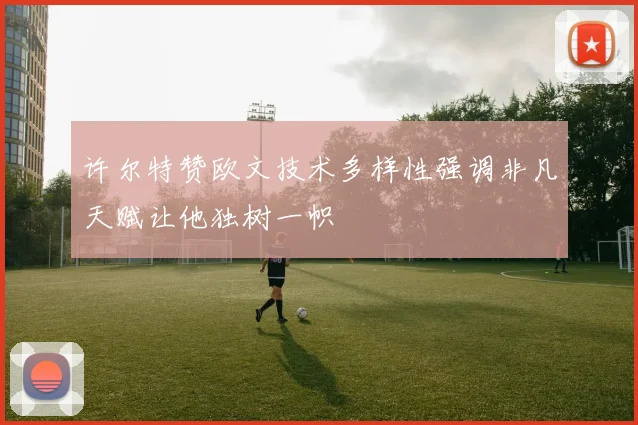 许尔特赞欧文技术多样性强调非凡天赋让他独树一帜