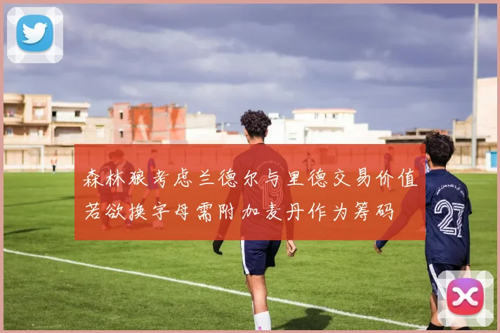 森林狼考虑兰德尔与里德交易价值若欲换字母需附加麦丹作为筹码