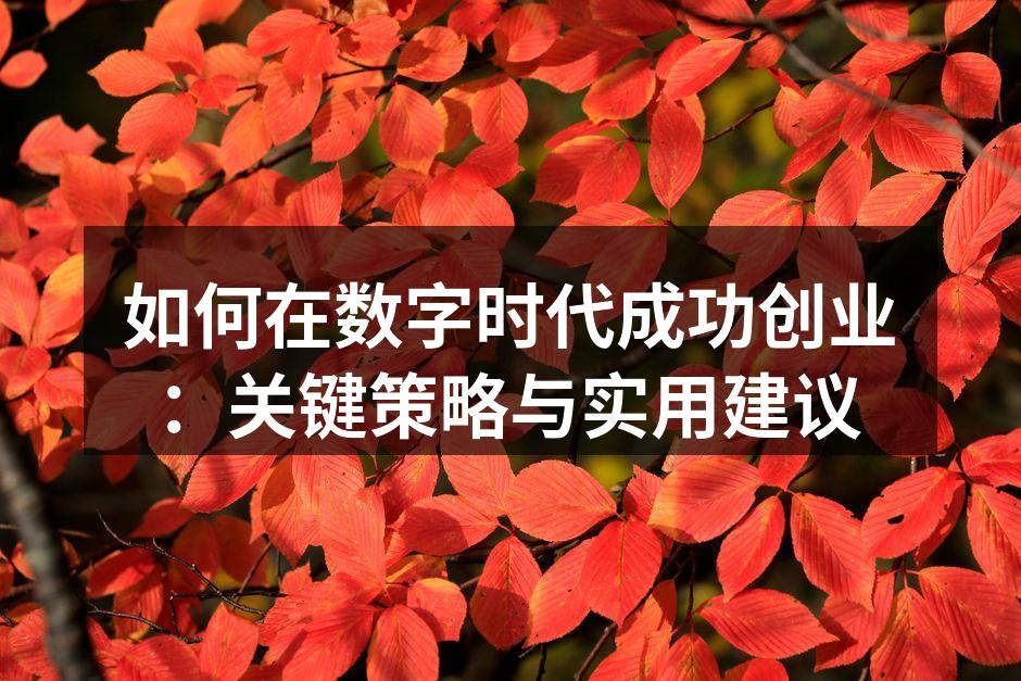 如何在数字时代成功创业：关键策略与实用建议