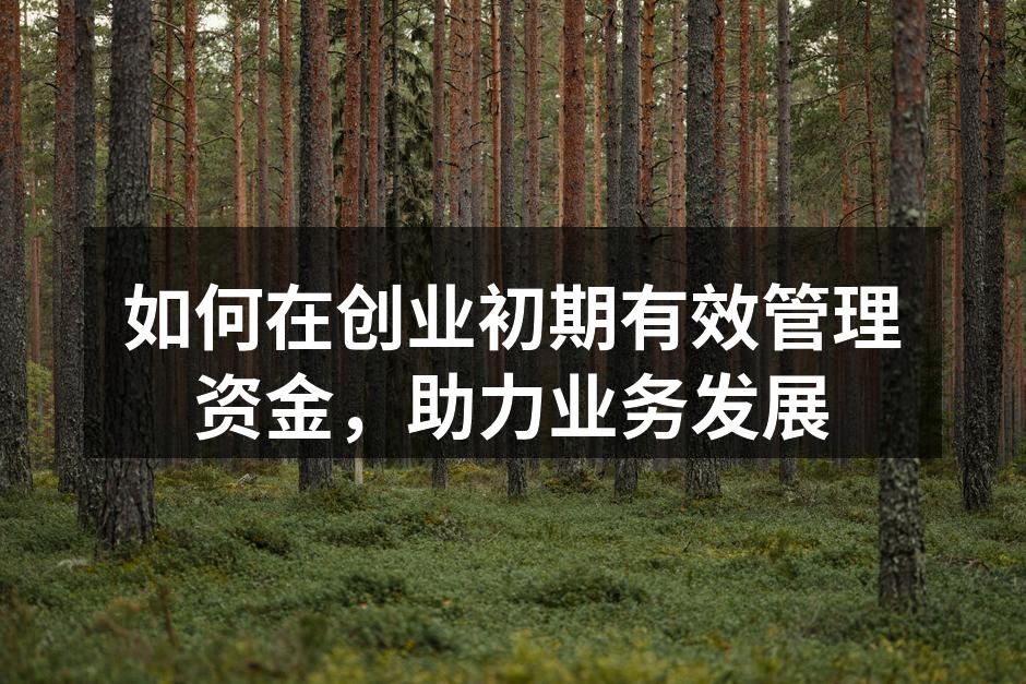 如何在创业初期有效管理资金，助力业务发展