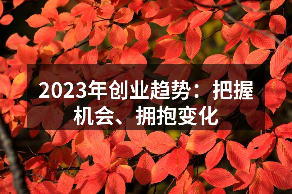 2023年创业趋势：把握机会、拥抱变化